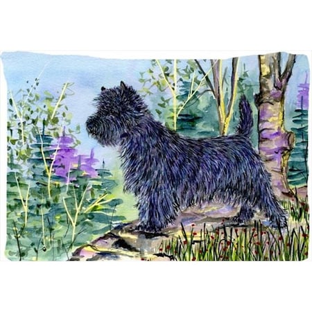 Carolines Treasures Carolines Treasures SS8665PILLOWCASE 20.5 x 30 in. Cairn Terrier Moisture Wicking Fabric Standard Pillowcase SS8665PILLOWCASE